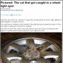 동부타이어 이미지