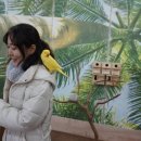 초은목장 네이버블로그