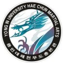 용인대 합기도 주짓수 이미지