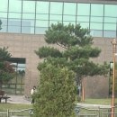 큰맘할매순대국 마석점