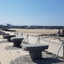 제주 올레길 3코스 B 이미지