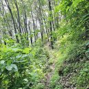 마당바위황토민박 이미지