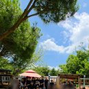 반림중학교 이미지