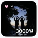 기념일에 방문한 롯데 호텔 월드 라세느 뷔페 평일 저녁 디너 가격 후기
