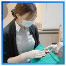 세일치과의원 네이버블로그