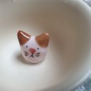 사이아트플랜 이미지