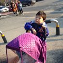 암벽등반벽 이미지