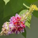 경기둘레길 여주32코스 이미지