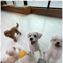 노케이지 네이버블로그