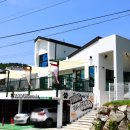 멍스타애견 이미지