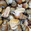 더조은수산 이미지