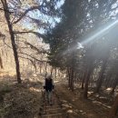 천주산 입구 이미지