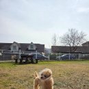 글램독 경주 A동 이미지