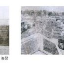 김홍균농장 티스토리