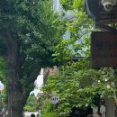 갤러리식당101식당 이미지