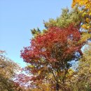 호현당화장실 | 남산둘레길 코스 - 북측순환로 단풍 나들이