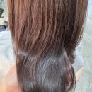 미르헤어 이미지