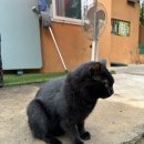 백련가든 이미지