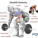 크로스핏DY 이미지