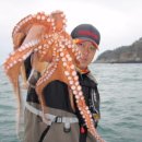 리비스(주) 이미지