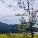 황매축산 이미지