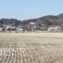 강변로2(동) 이미지