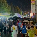 순천 대학로 축제 이미지