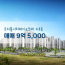 퀸공인중개사사무소 | 트리풀퀸공인중개사사무소 트리풀시티레이크포레 318동 매매 9억 5,000