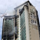 우후죽순 이미지