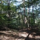 어항고개 이미지