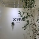 애쉬염색 잘하는 평택고덕미용실 | 소르아헤어룸 후기