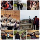 두현목장 이미지