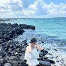 제주도 푸른밤 | 제주도 푸른밤