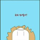 미르 태권도 이미지