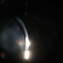 산본동물병원 이미지