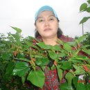 인숙농장 이미지