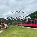 승부역가는길 | [경북 영주 여행]백두대간 협곡열차(V-Train) 영주역~철암역 탑승 후기, 철암역 기차 놓친 가락국수
