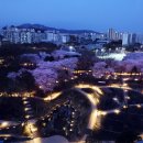 피크닉장 이미지