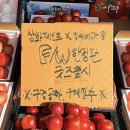 삼화청과