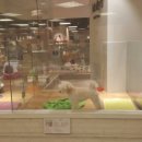 서울애견마트 이미지