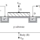 BODY EFFECT 이미지