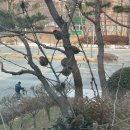 맘마하우스 이미지