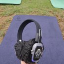 장림항(맛술촌) | [부산 다대포] 놀핏 / 다대포 체험 프로그램 후기