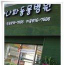 아나파동물병원 이미지