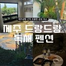 드랑드랑 | 제주 감성 숙소 추천 ‘드랑드랑’, 공항 근처 독채 팬션, 사라동 솔직 후기