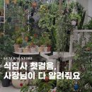 탐라중학교 | 제주도 식물가게 그로우 신제주점 가격 주차