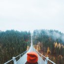 생활영어회화(초급2) 이미지