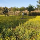 전기차충전소_별빛누리공원 이미지