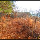 항골농장 | 웅석지맥 3구간(아미랑재-백의종군로-자매리-산신봉-바느고개-황학산-분토봉-당산-꽃등실-가곡탐조대...