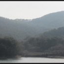 아영면 광평마을 이미지